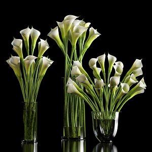 3d model of lilies arranged vase
