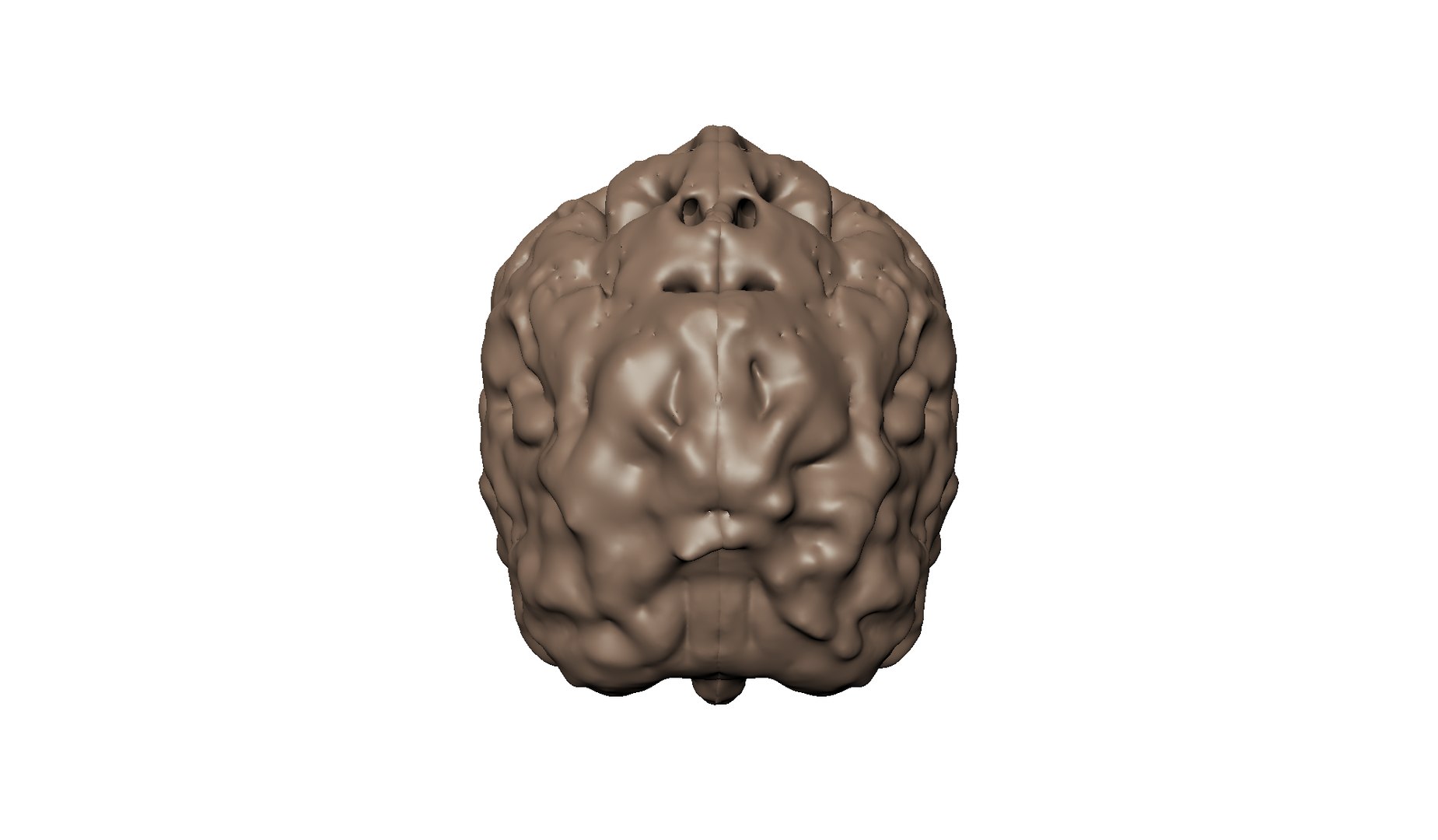 Ct scan human brain 3D model - TurboSquid 1381342