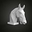 Horse head