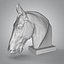 Horse head