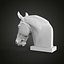 Horse head