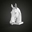 Horse head