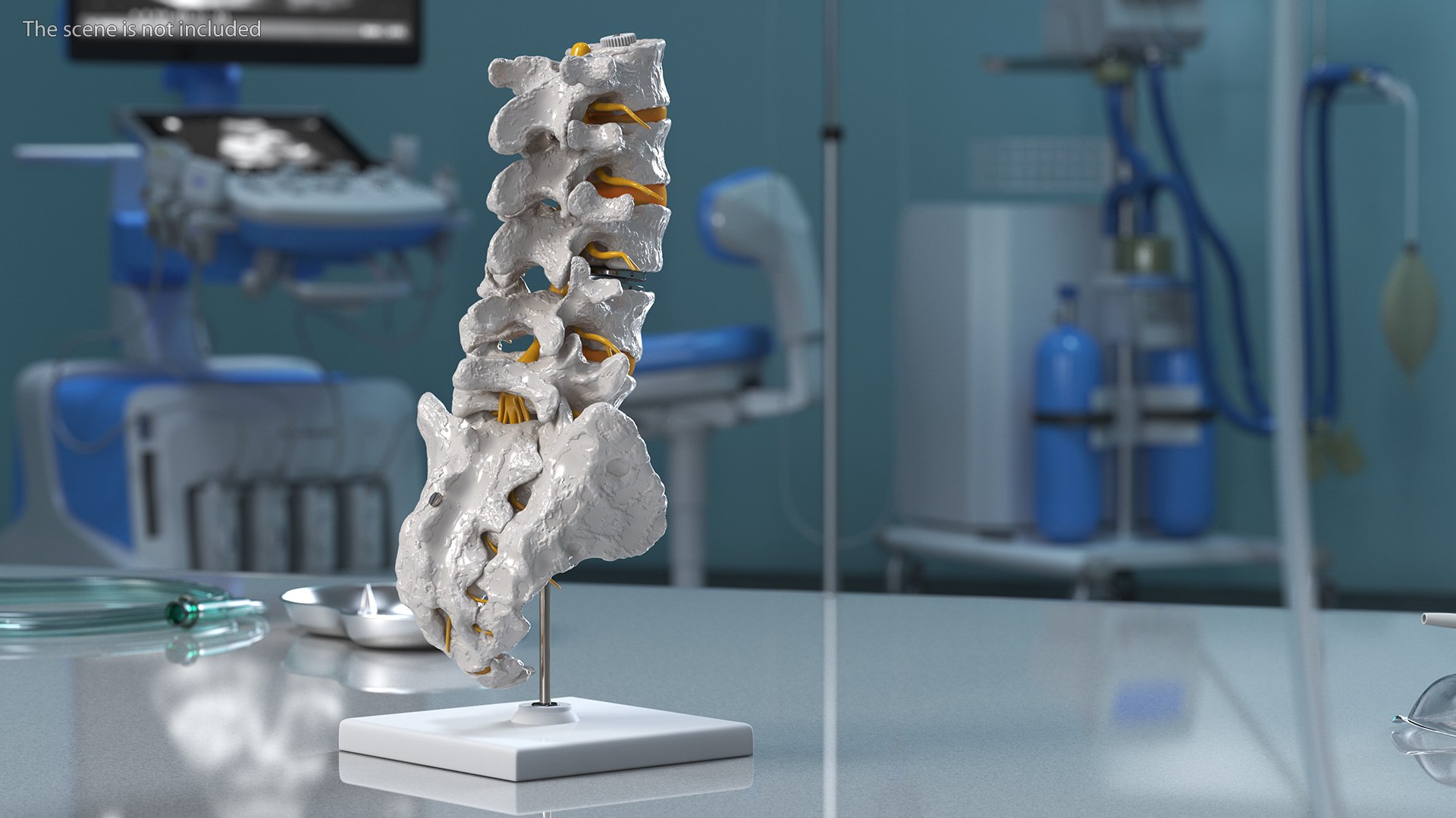 3D Intervertebral Disc Implant Installed on Spine https://p.turbosquid.com/ts-thumb/4G/6i9bTs/At/intervertebraldiscimplantinstalledonspinec4dmodel003/jpg/1710696893/1920x1080/fit_q87/213c991ac117a6ee00bb3a7d8c82c66ecdee6307/intervertebraldiscimplantinstalledonspinec4dmodel003.jpg