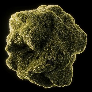 Moss Low Poly 6