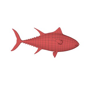 Tuna base mesh
