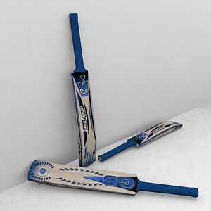 cricket bat