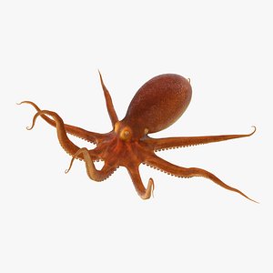 octopus crawling 3d 3ds