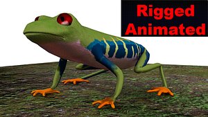 red eyed tree frog 3D model