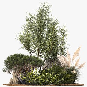 Alpine Slide Of Pine Tipiar Bush Pampas Grass 1217 3D model