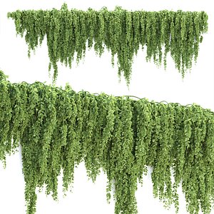 Creeper Plant for Wall Vol 319 3D