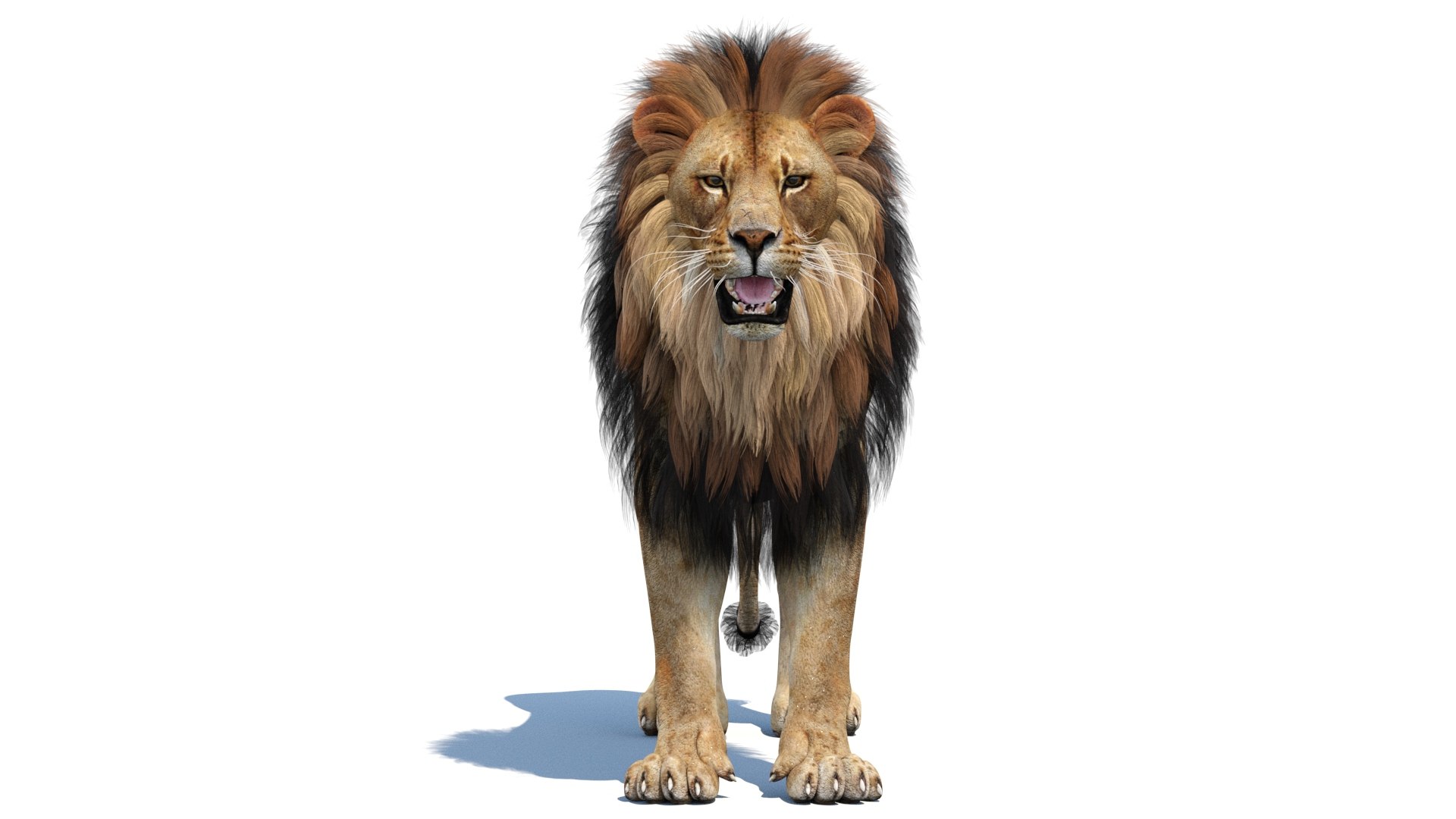3D Lion 3D Model PBR - TurboSquid 2629052