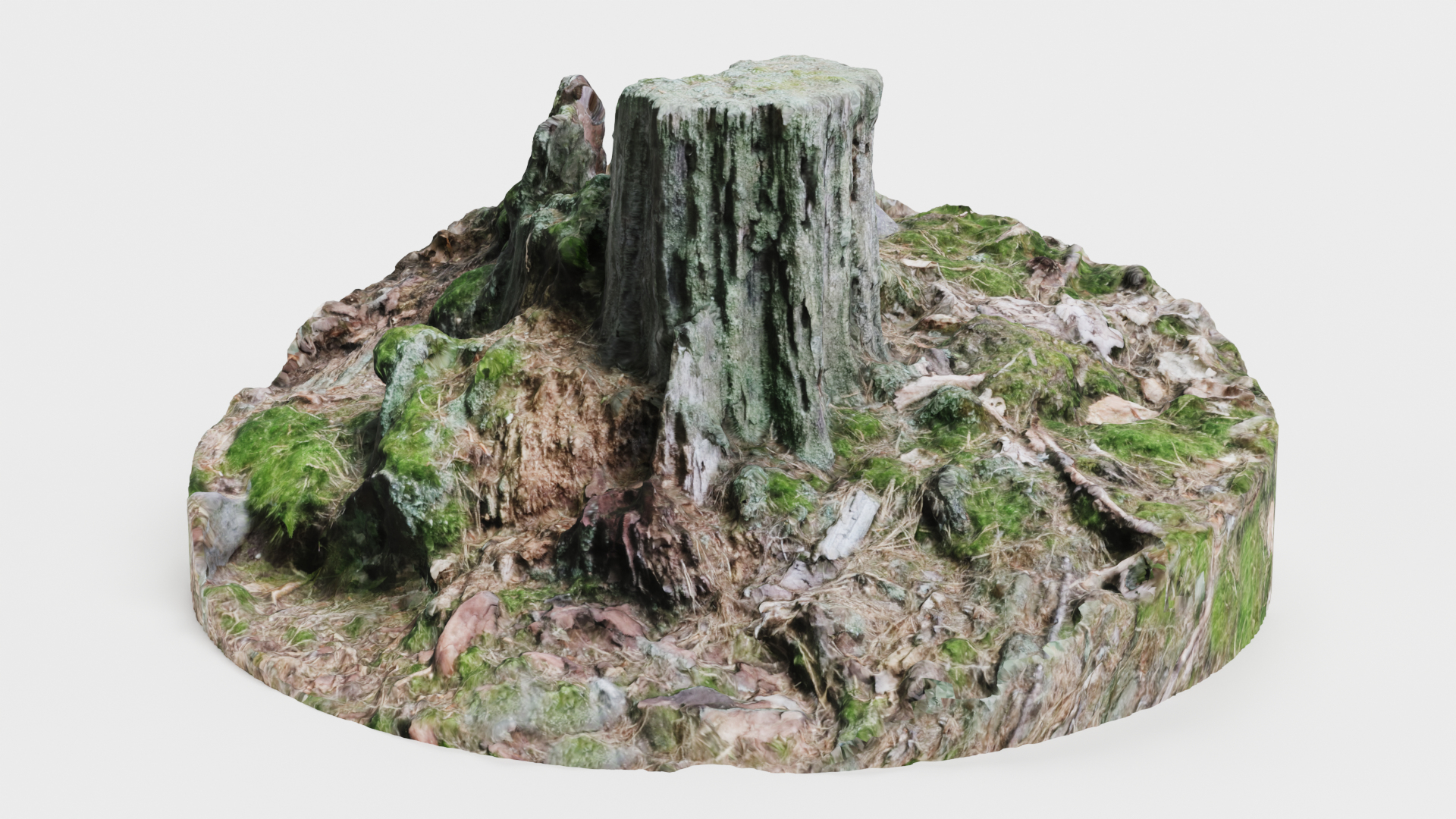 3D Stump model https://p.turbosquid.com/ts-thumb/4H/qrtaju/J2/0001/png/1724932921/1920x1080/turn_fit_q99/18c0eb180ca83e3e11d2db38c8a6d550036de3b4/0001-1.jpg