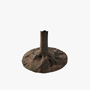 Anydrafts Abies Trunk 12 3D model