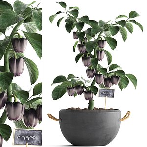 3D decorative pepper