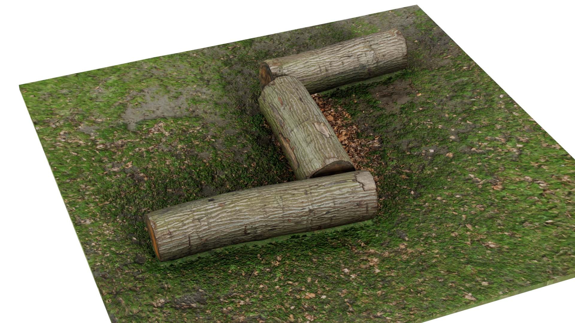 3D Model Tree Trunks Remastered - TurboSquid 2362730