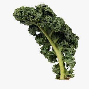 Lettuce 2 Remastered 3D