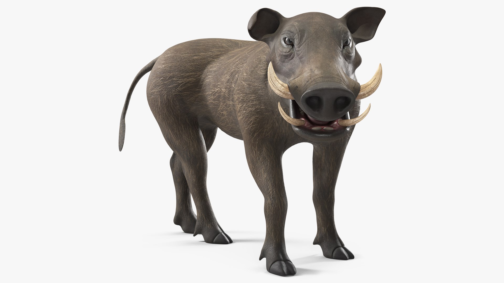 Rigged Lion King Animals Collection 3D model preview