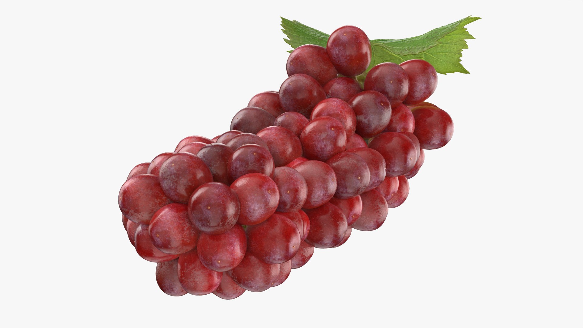 Bunch Grapes 01 3D https://p.turbosquid.com/ts-thumb/4I/B1eEDP/2U/grapes_0004/png/1763647045/1920x1080/fit_q87/5151e50da718ef24e7dcc76f924dc94ac993d807/grapes_0004.jpg
