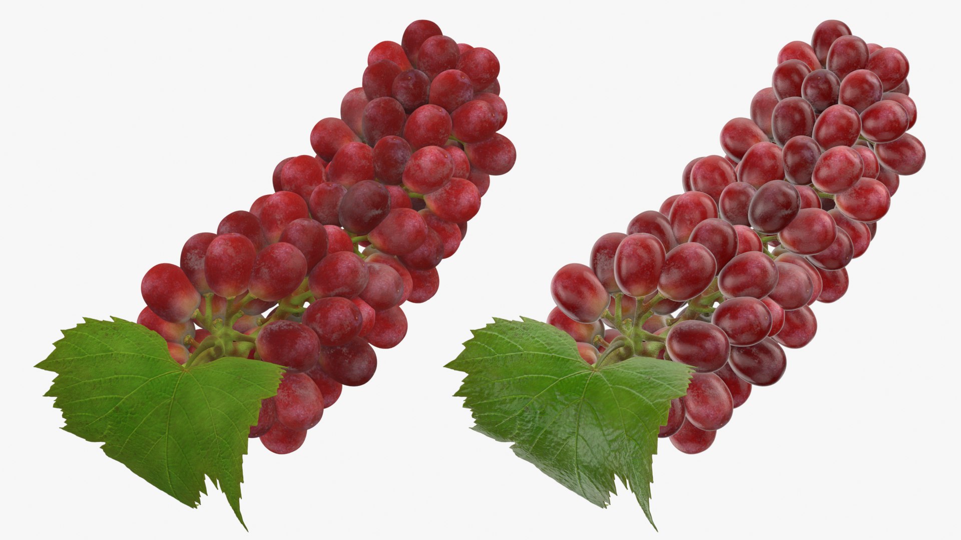 Bunch Grapes 01 3D https://p.turbosquid.com/ts-thumb/4I/B1eEDP/6L/grapes_0001b/png/1763647021/1920x1080/fit_q87/808b0dc518fc8e6425eb7d65e10b686f77815e16/grapes_0001b.jpg