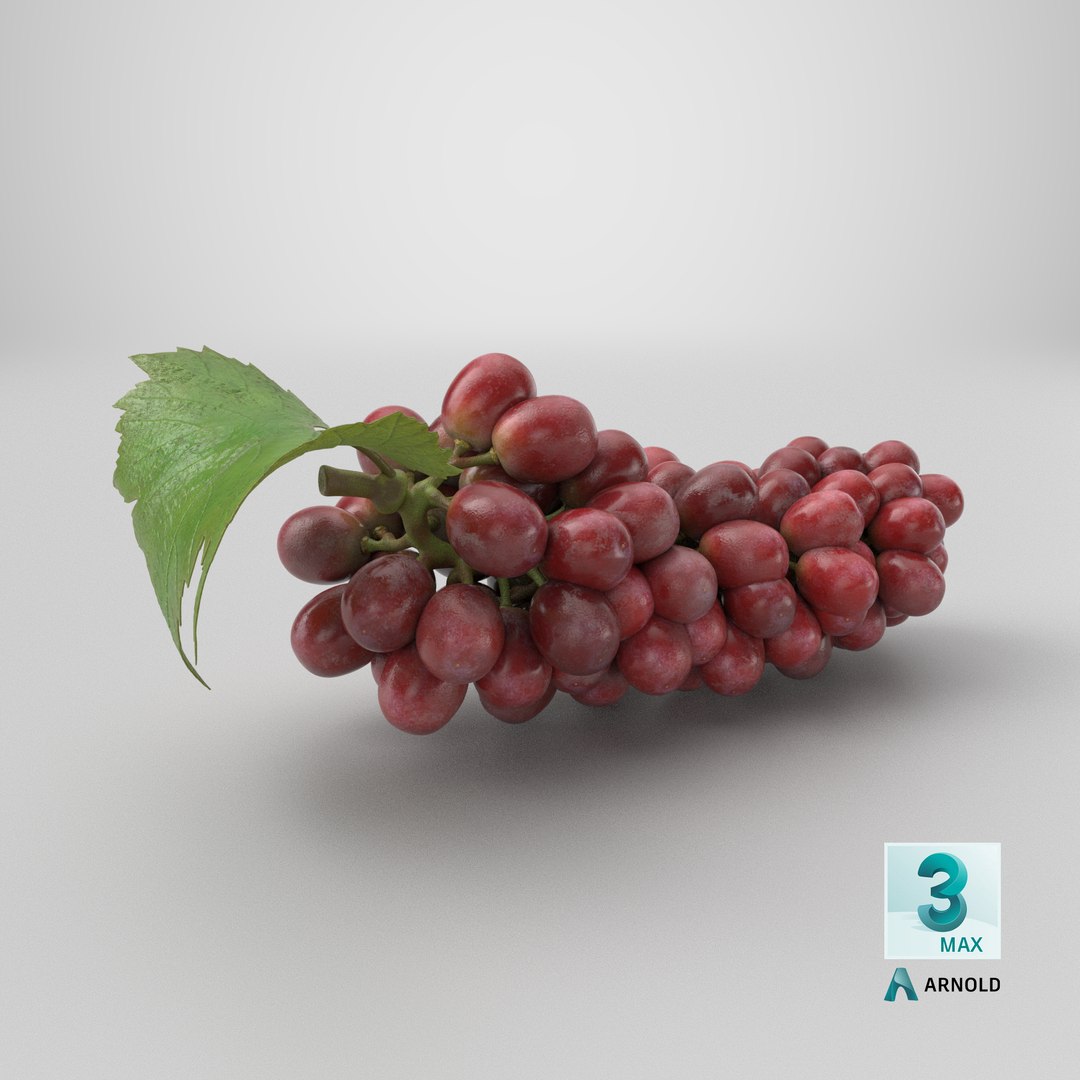 Bunch Grapes 01 3D https://p.turbosquid.com/ts-thumb/4I/B1eEDP/6m/stemcell_max_arnold_render/png/1763789012/1920x1080/fit_q87/fea1a1442c7df32a46f9c7b26159631859dff757/stemcell_max_arnold_render.jpg