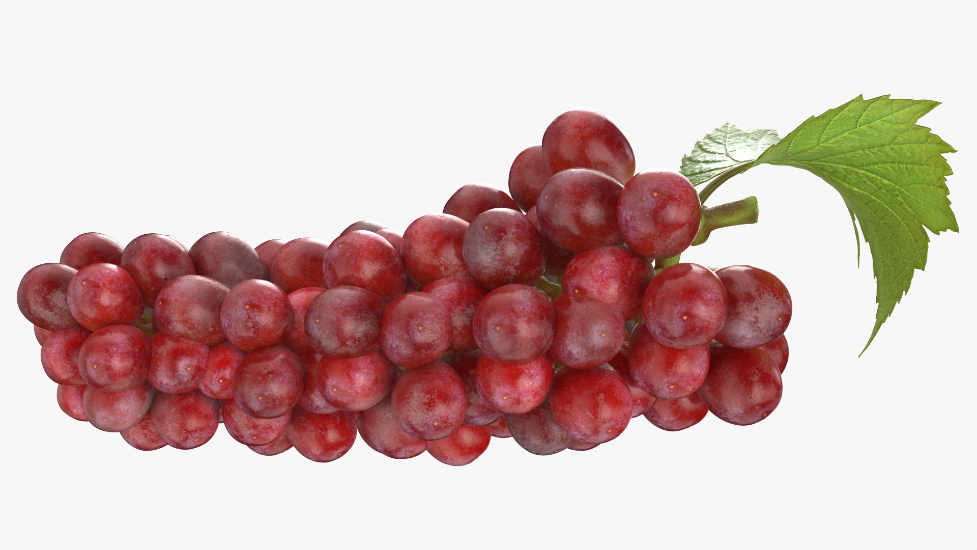 Bunch Grapes 01 3D https://p.turbosquid.com/ts-thumb/4I/B1eEDP/B8/grapes_0002/png/1763647027/1920x1080/fit_q87/45cd9daf56bd97493b25ad24c040bdbfeb1b5a56/grapes_0002.jpg
