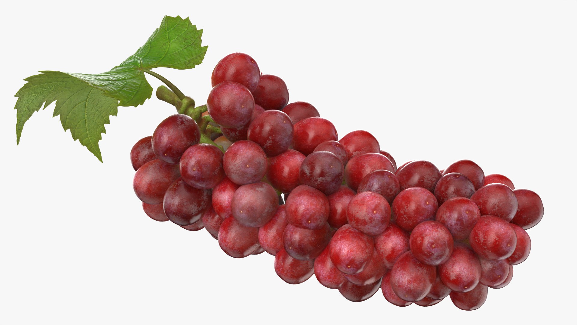 Bunch Grapes 01 3D https://p.turbosquid.com/ts-thumb/4I/B1eEDP/BV/grapes_0010/png/1763647099/1920x1080/fit_q87/027d4822107166ce3fceb119dbdcea97c398af2c/grapes_0010.jpg