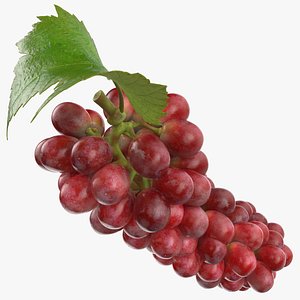 Bunch Grapes 01