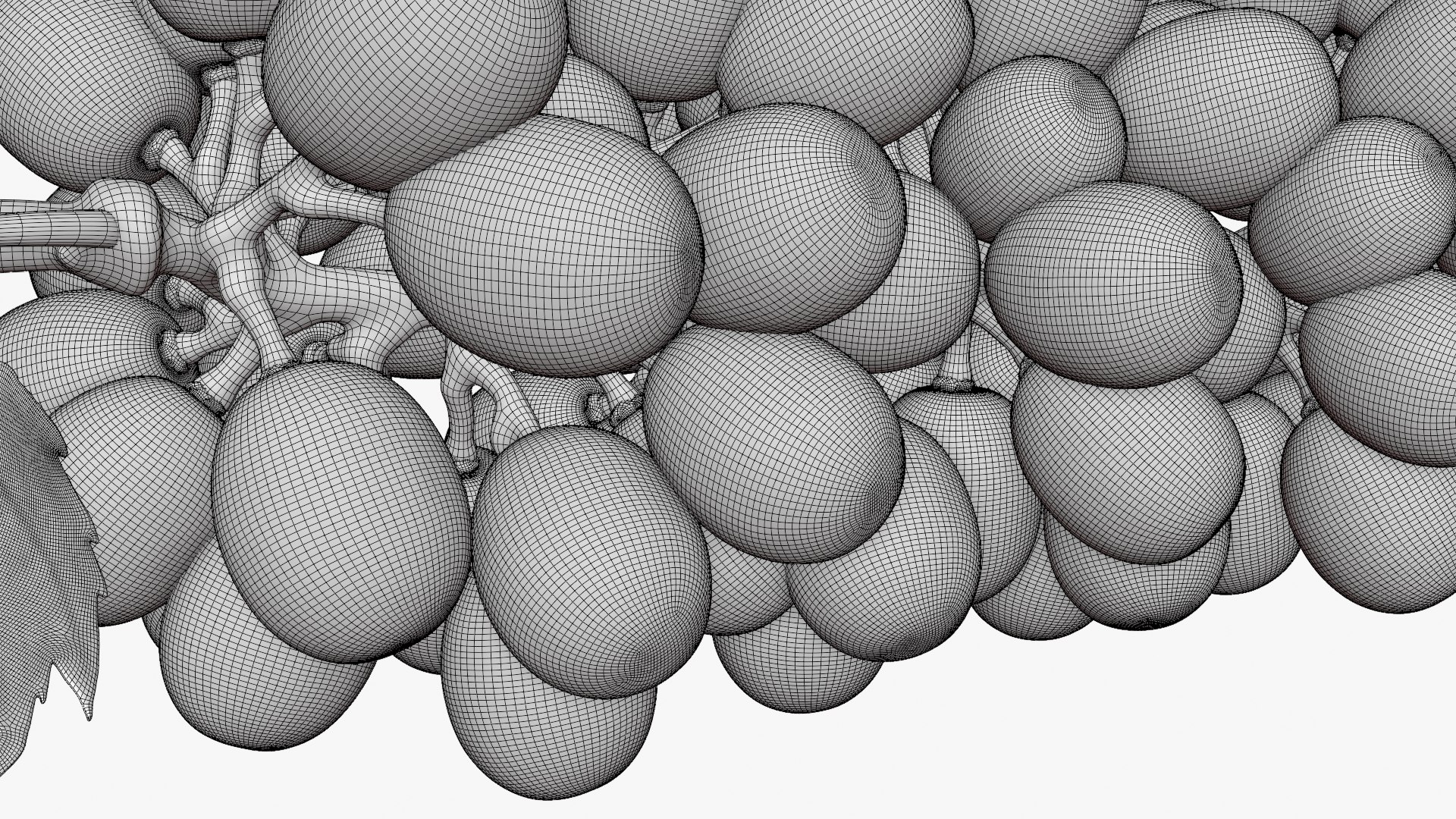 Bunch Grapes 01 3D https://p.turbosquid.com/ts-thumb/4I/B1eEDP/HI/grapes_d0012/png/1763647185/1920x1080/fit_q87/8b522813b1d574b4c524dfa873eaf33d8cd0e70f/grapes_d0012.jpg