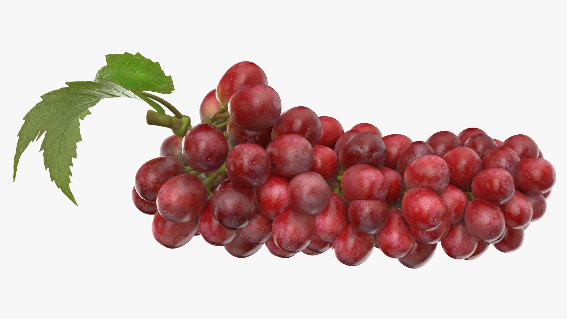 3D Fruits Collection 3 model https://p.turbosquid.com/ts-thumb/4I/B1eEDP/KA/grapes_0001/png/1787427828/1920x1080/fit_q87/2696d2f772eda39d0577fbc6e7d80e28405d1efd/grapes_0001.jpg