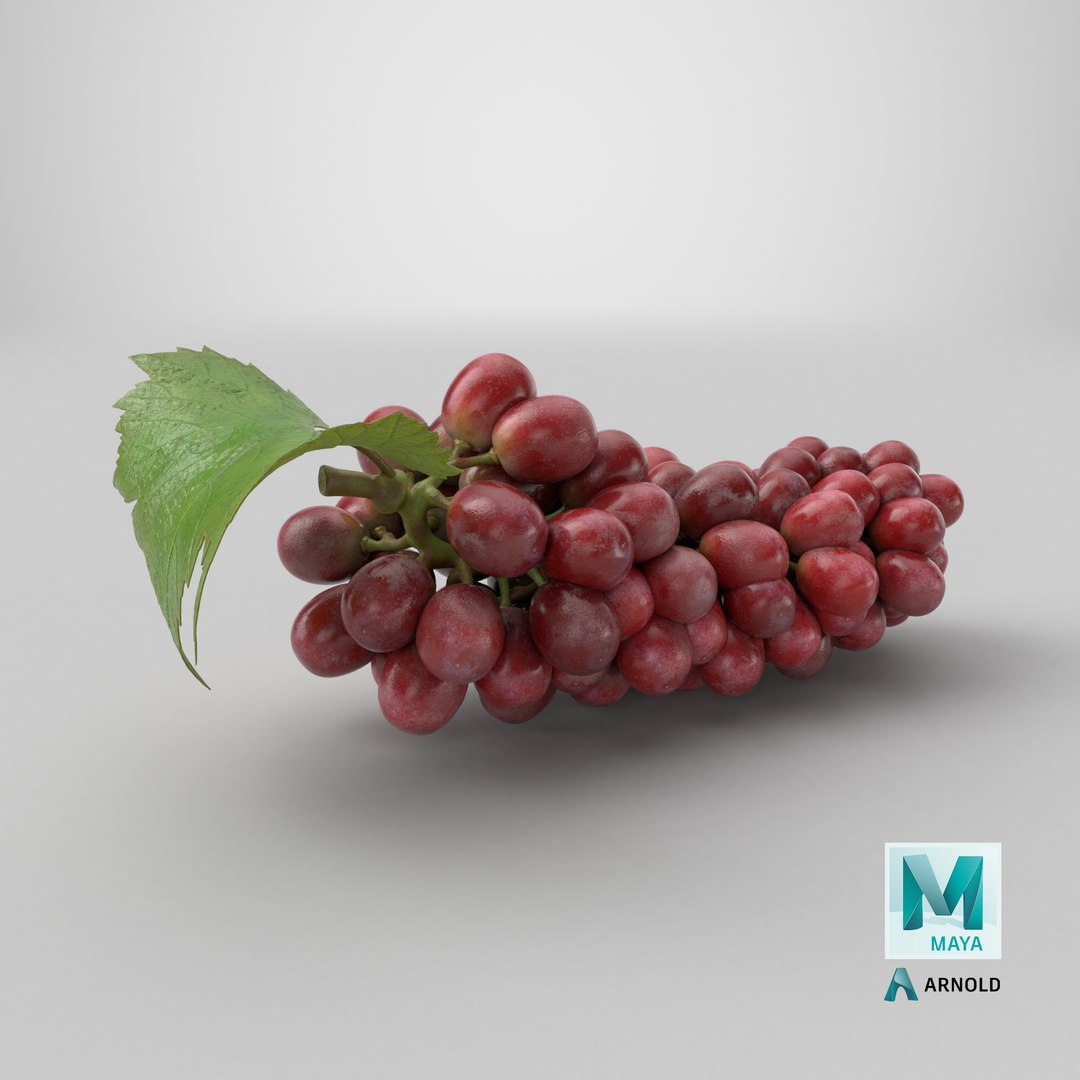 Bunch Grapes 01 3D https://p.turbosquid.com/ts-thumb/4I/B1eEDP/Qx/stemcell_maya_arnold_render/png/1763789004/1920x1080/fit_q87/17bbcba5ba534a06deba15ead72091f987c16020/stemcell_maya_arnold_render.jpg