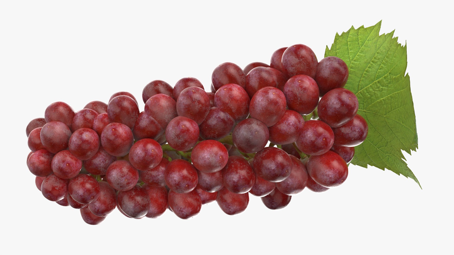 Bunch Grapes 01 3D https://p.turbosquid.com/ts-thumb/4I/B1eEDP/Zy/grapes_0003/png/1763647036/1920x1080/fit_q87/1dfb30b1d0f14f5202719e8901f2200bee2172a4/grapes_0003.jpg