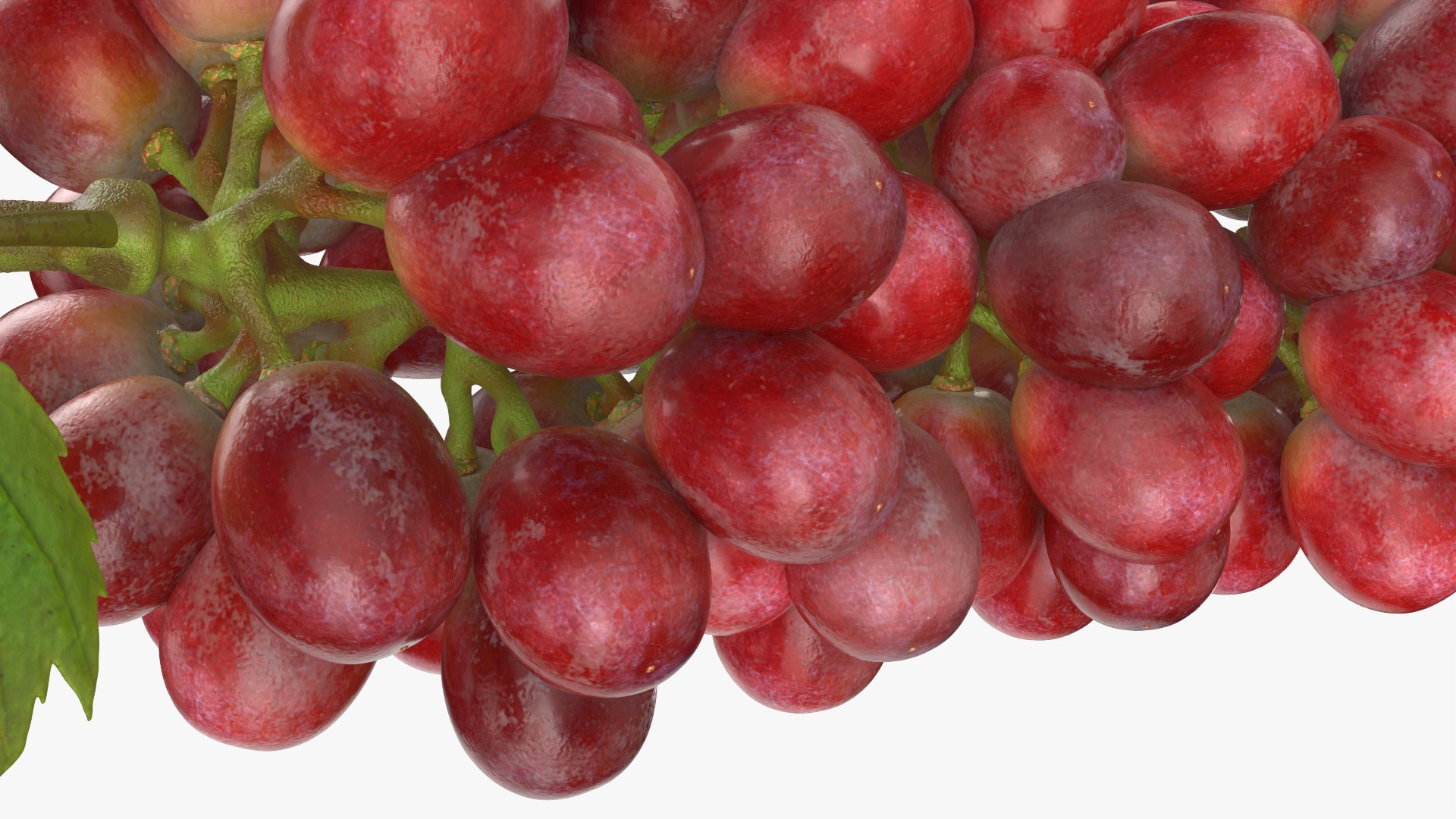 Bunch Grapes 01 3D https://p.turbosquid.com/ts-thumb/4I/B1eEDP/bp/grapes_0012/png/1763647110/1920x1080/fit_q87/210f50bddb281e9bc492d8c25fe3e54578d40454/grapes_0012.jpg