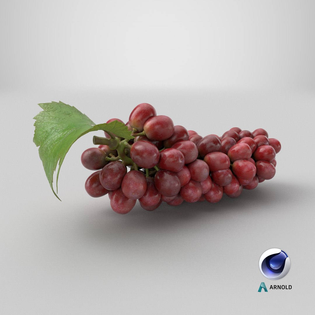 Bunch Grapes 01 3D https://p.turbosquid.com/ts-thumb/4I/B1eEDP/ce/stemcell_cinema_4d_arnold_render/png/1763789007/1920x1080/fit_q87/eb1dc33b707deeb468844bc7b7c6068828b77ded/stemcell_cinema_4d_arnold_render.jpg