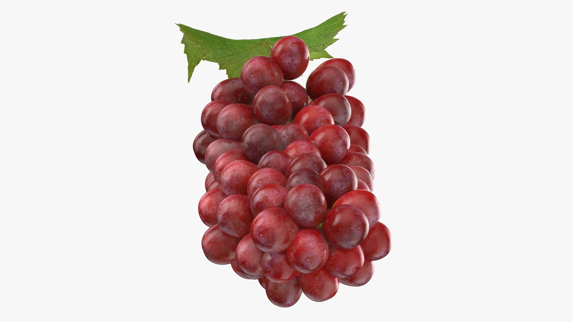 Bunch Grapes 01 3D https://p.turbosquid.com/ts-thumb/4I/B1eEDP/hH/grapes_0006/png/1763647066/1920x1080/fit_q87/72eb1b93bb5f5f2c19614cf70a17e794ab38683f/grapes_0006.jpg