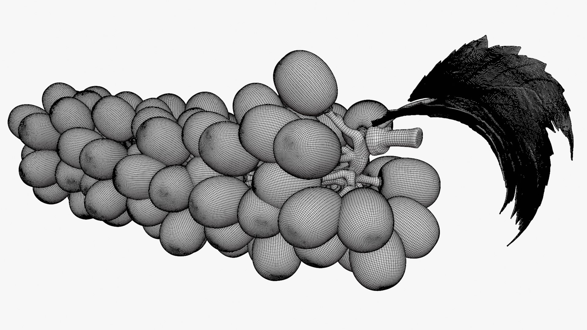 Bunch Grapes 01 3D https://p.turbosquid.com/ts-thumb/4I/B1eEDP/iA/grapes_d0007/png/1763647108/1920x1080/fit_q87/83d459f88da51d858a18bb312b6291c30104d2ad/grapes_d0007.jpg