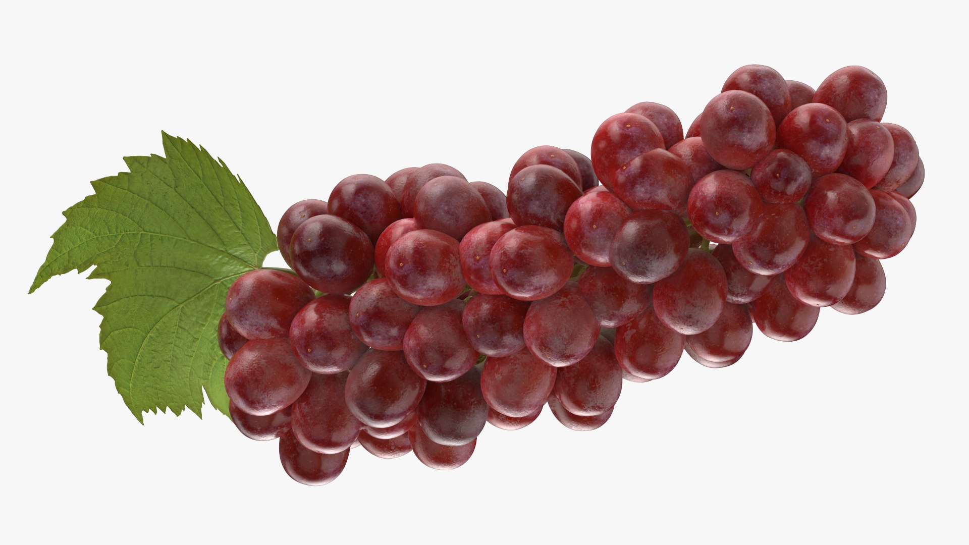 Bunch Grapes 01 3D https://p.turbosquid.com/ts-thumb/4I/B1eEDP/lj/grapes_0008/png/1763647078/1920x1080/fit_q87/72b52818496c24feddc8ace2ea1a94707174f019/grapes_0008.jpg