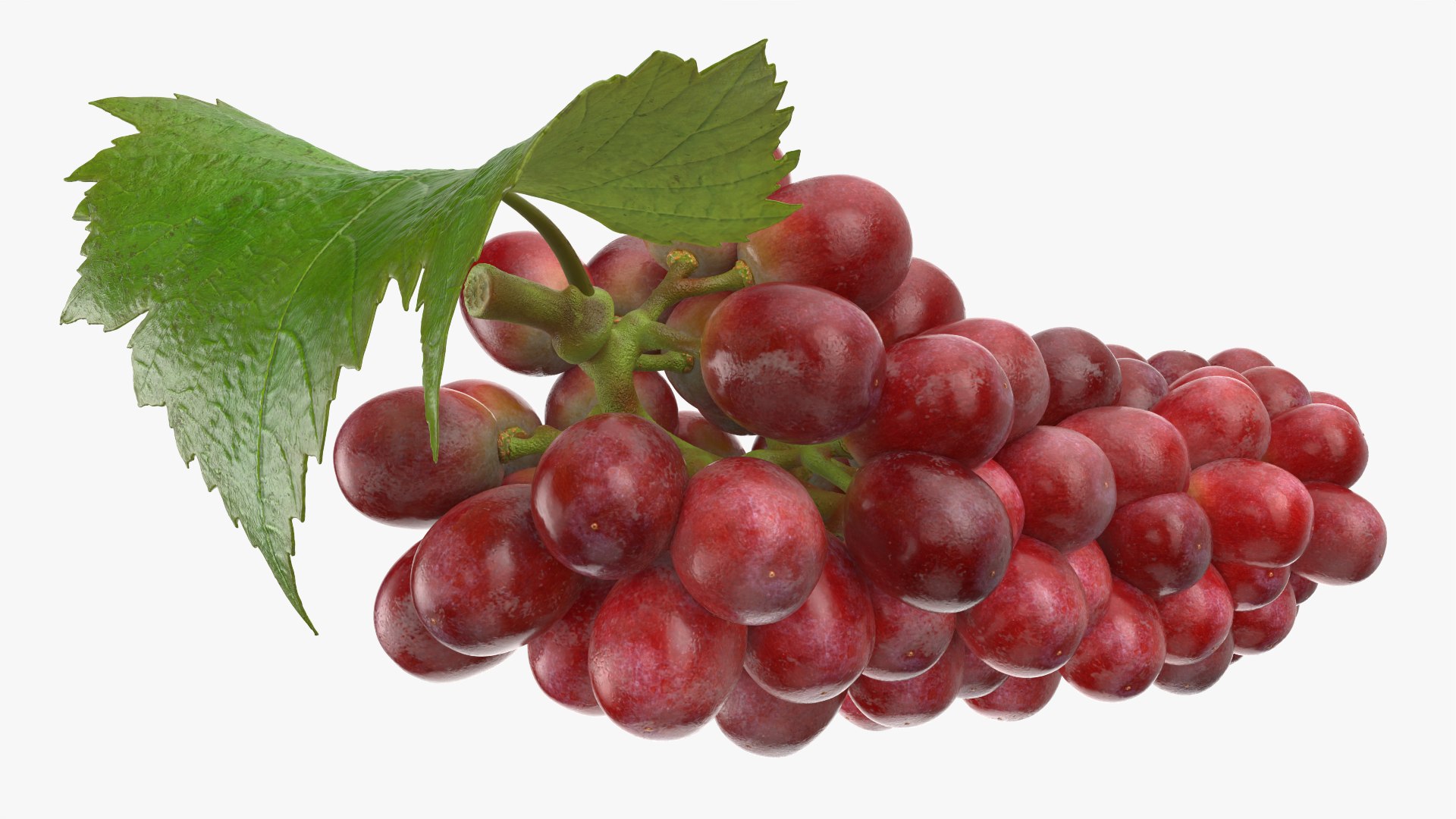 Bunch Grapes 01 3D https://p.turbosquid.com/ts-thumb/4I/B1eEDP/md/grapes_0005/png/1763647053/1920x1080/fit_q87/f6a2a6fef403ef930330fd749b7d0352f9855ac1/grapes_0005.jpg
