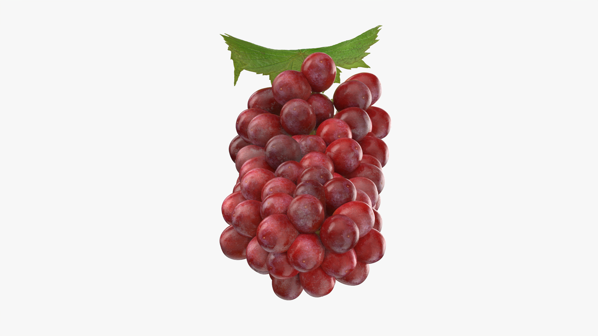 Bunch Grapes 01 3D https://p.turbosquid.com/ts-thumb/4I/B1eEDP/qU/grapes/png/1763647112/1920x1080/turn_fit_q99/0086113335225a34e023cca14d630a8dbfa68cf6/grapes-1.jpg