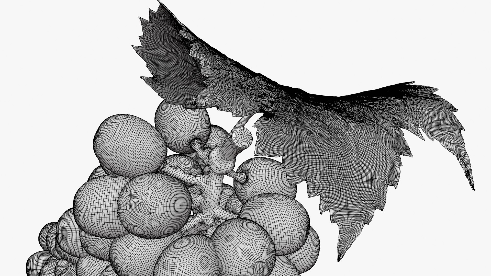 Bunch Grapes 01 3D https://p.turbosquid.com/ts-thumb/4I/B1eEDP/s0/grapes_d0009/png/1763647109/1920x1080/fit_q87/7b1d0778835a1235442750b8d2db78647c8c5431/grapes_d0009.jpg