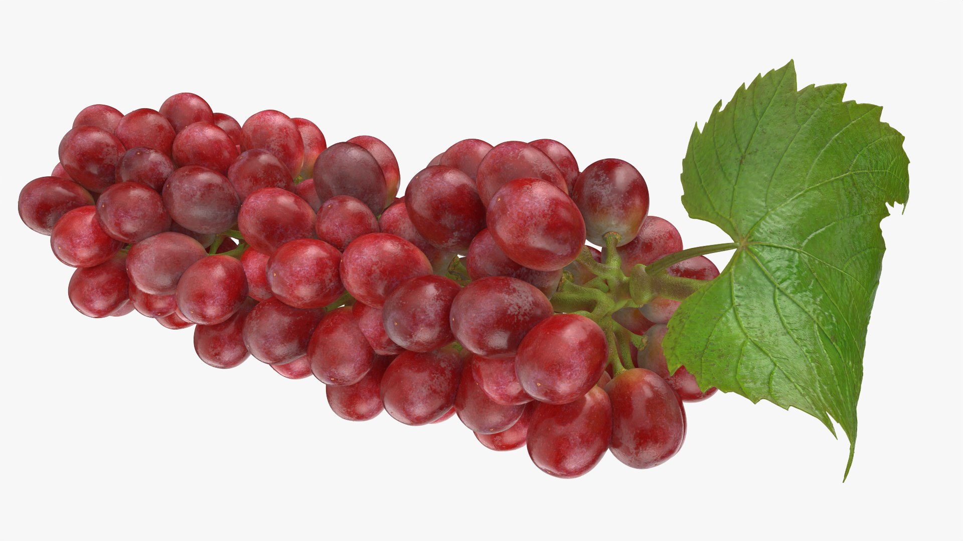 Bunch Grapes 01 3D https://p.turbosquid.com/ts-thumb/4I/B1eEDP/ty/grapes_0011/png/1763647102/1920x1080/fit_q87/345e7c968e2b3b5baa6081322962c3fd2b7884ec/grapes_0011.jpg