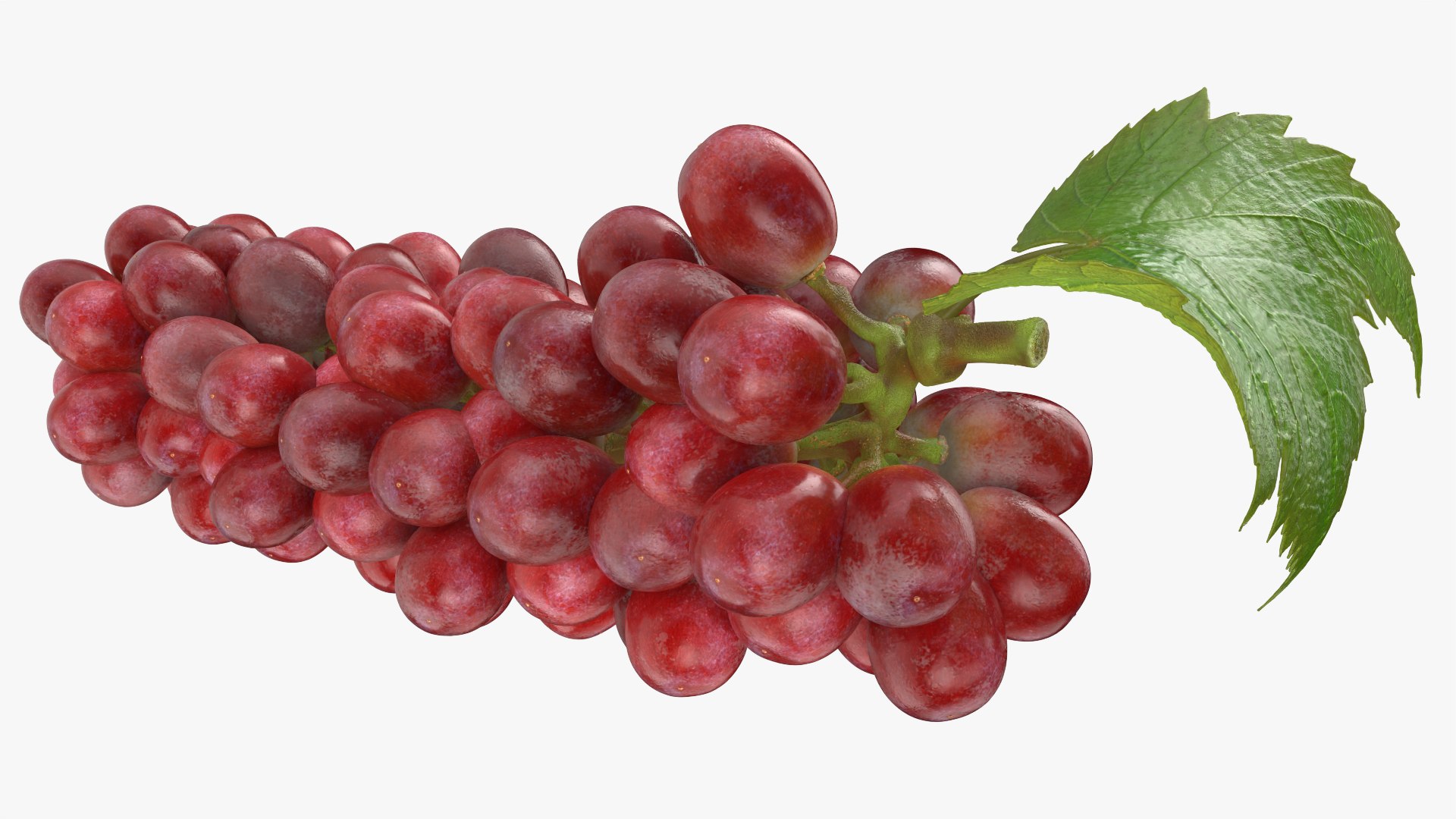 Bunch Grapes 01 3D https://p.turbosquid.com/ts-thumb/4I/B1eEDP/vt/grapes_0007/png/1763647067/1920x1080/fit_q87/6c5db5e87a5986bbc7590f352986c1fbda2dbdfe/grapes_0007.jpg