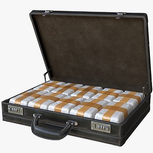 Briefcase with Drugs