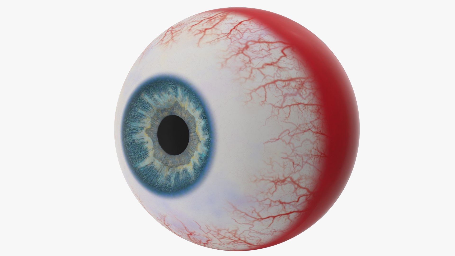 Eyes with Mouth 3D model https://p.turbosquid.com/ts-thumb/4I/Lw8dM9/2e/angles_24/jpg/1640536875/1920x1080/fit_q87/8b1e46b97a4b89766ebadacb643e8a898c26167c/angles_24.jpg