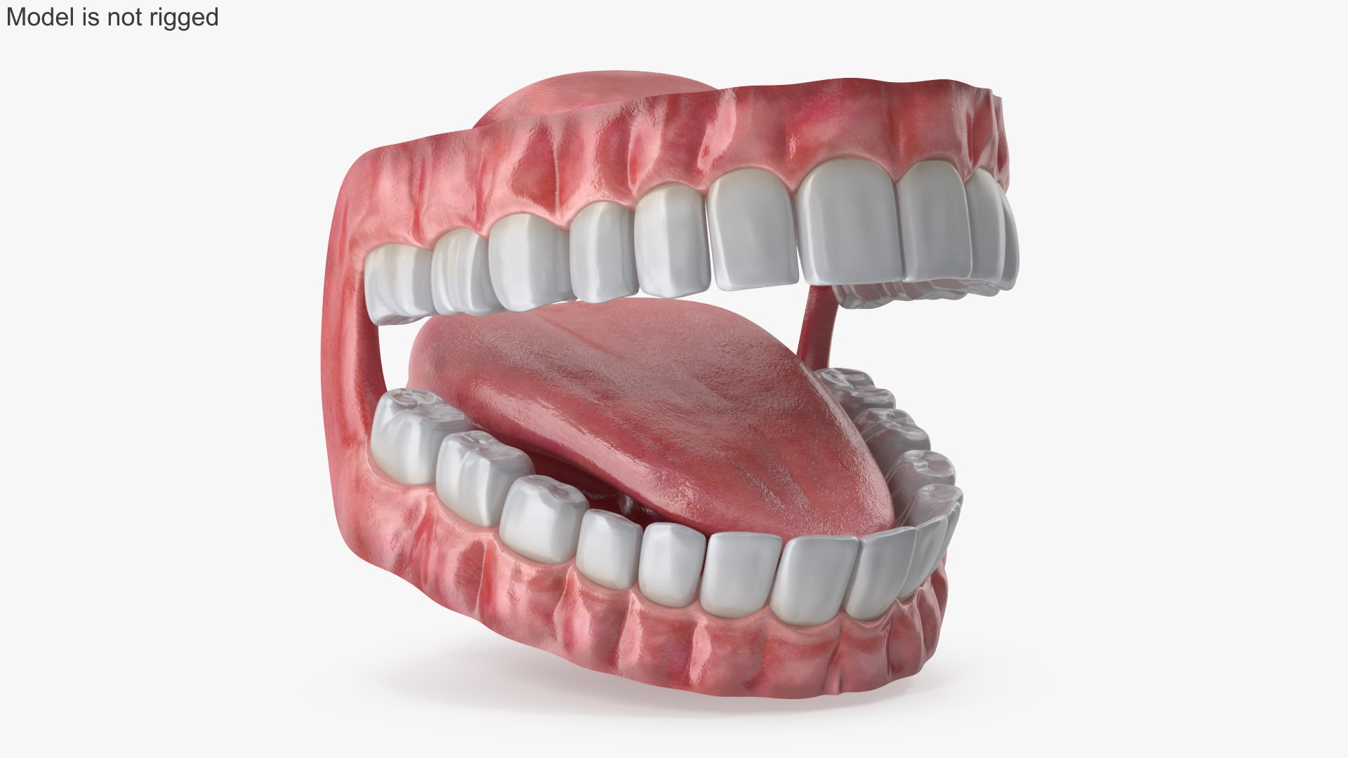 Eyes with Mouth 3D model https://p.turbosquid.com/ts-thumb/4I/Lw8dM9/5V/angles_11/jpg/1640536937/1920x1080/fit_q87/c8d974a3efbf588305d5fe8b07eda8eeed5fd6fa/angles_11.jpg