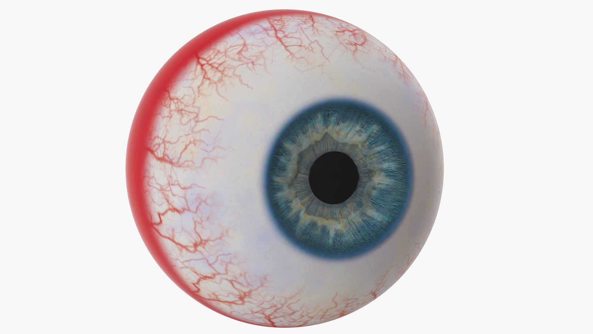 Eyes with Mouth 3D model https://p.turbosquid.com/ts-thumb/4I/Lw8dM9/DK/angles_25/jpg/1640536878/1920x1080/fit_q87/2cb08b6d09e147f20c9920fe87e8e771d65c8076/angles_25.jpg