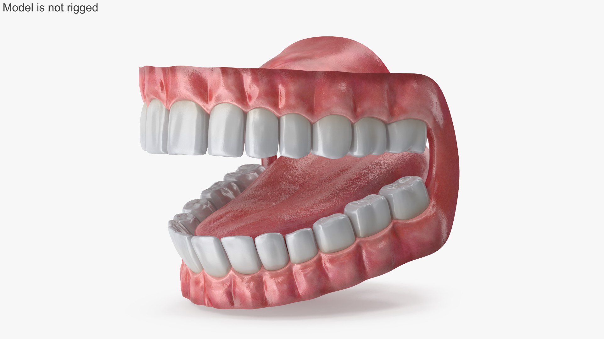 Eyes with Mouth 3D model https://p.turbosquid.com/ts-thumb/4I/Lw8dM9/FM/angles_09/jpg/1640536900/1920x1080/fit_q87/ff8bbf0945006feee0161d81c43d94ce6ebc99ed/angles_09.jpg