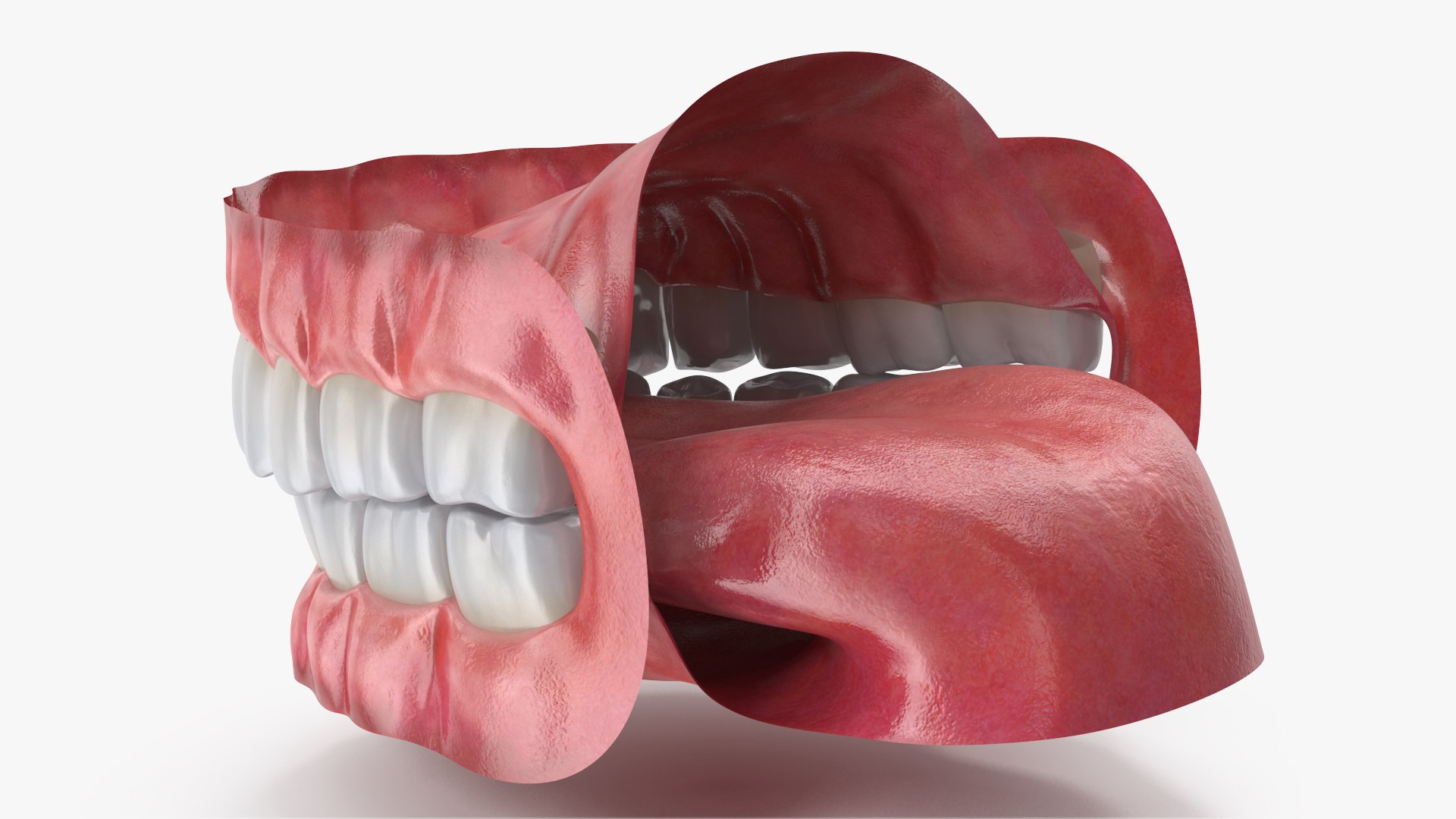Eyes with Mouth 3D model https://p.turbosquid.com/ts-thumb/4I/Lw8dM9/GO/angles_08/jpg/1640536997/1920x1080/fit_q87/3db757ff4c83ed2683d79d301692cb9af97d3b05/angles_08.jpg