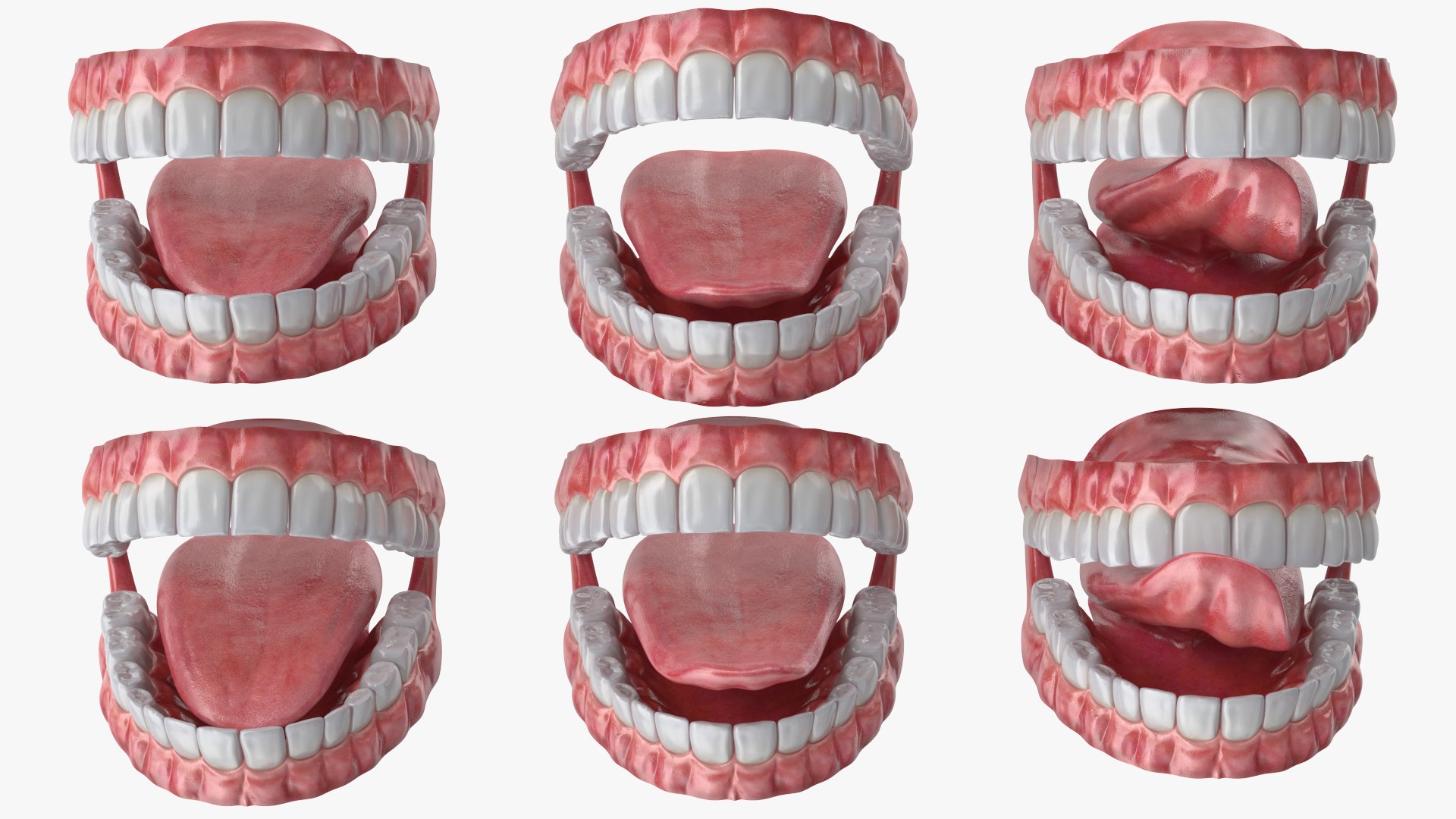 Eyes with Mouth 3D model https://p.turbosquid.com/ts-thumb/4I/Lw8dM9/My/angles_19/jpg/1640537013/1920x1080/fit_q87/b0f6f1a3ffa3a5f64fb5b89d28377701d8bf4580/angles_19.jpg