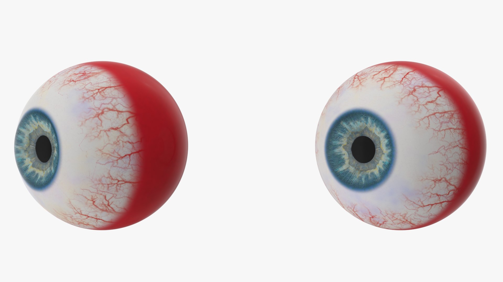 Eyes with Mouth 3D model https://p.turbosquid.com/ts-thumb/4I/Lw8dM9/Th/angles_21/jpg/1640536912/1920x1080/fit_q87/4485ad49d8fbc8c9c3e25d5daf66a6db7a7a8efe/angles_21.jpg