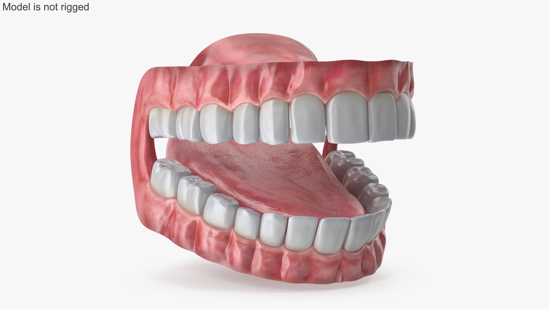 Eyes with Mouth 3D model https://p.turbosquid.com/ts-thumb/4I/Lw8dM9/nN/angles_10/jpg/1640536926/1920x1080/fit_q87/0eabe99b7e1e1d33abf0c33cf120093465f543c8/angles_10.jpg